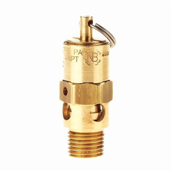 Conrader Air Safety Valve,1/4" (M) NPT Inlet SRH250-14-165-SST