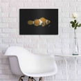 thumbnail image 5 of Luxe Metal Art 'Clown Fish on Black' by Durwood Coffey, Metal Wall Art, 24"x16", 5 of 8