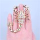 thumbnail image 4 of Anillos dobles de escorpión Punk Qarigey Aleación dorado, 4 of 6