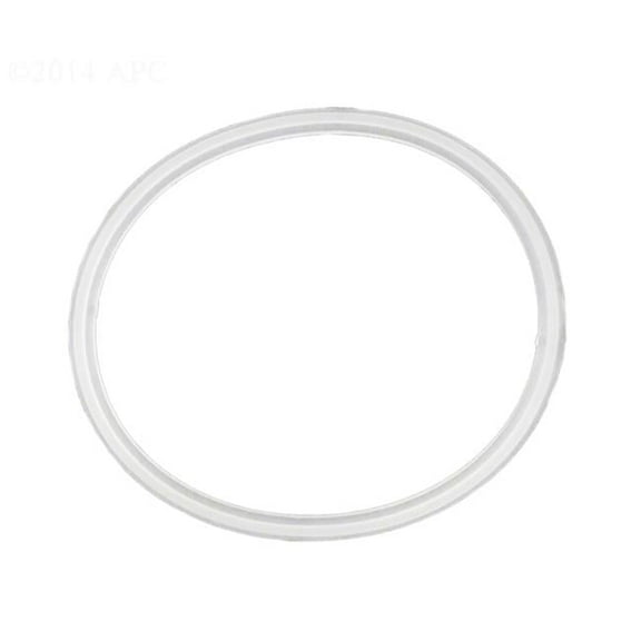 Waterway Plastics WW7116400 Gunite Lower Body Gasket