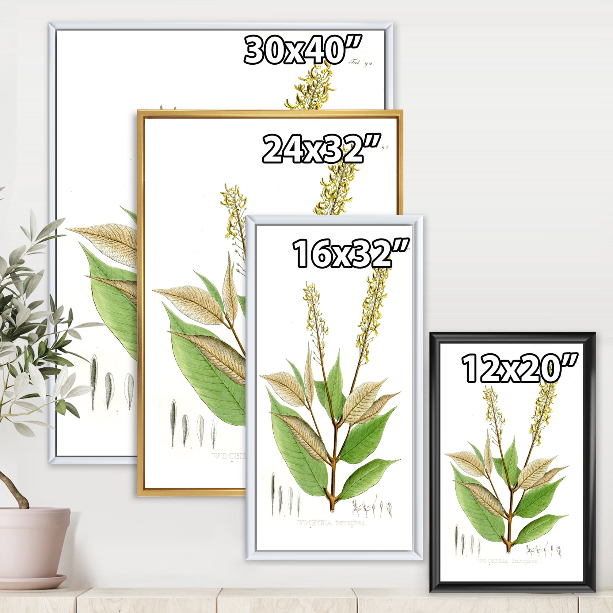 Ancient Brazilian Plant V 12 in x 20 in Framed Painting Canvas Art Print, by Designart