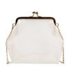 thumbnail image 3 of Bolsa de hombro transparentes de PVC para mujer hebilla de Clip monedero transparente para teléfono cruzados JShteea Para Estrenar, 3 of 9