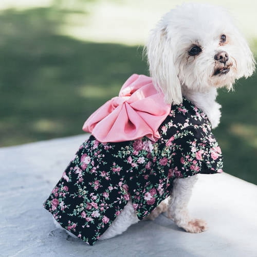 CUECUEPET Kimono Style Indoor / Outdoor Button Up Dress for Female / Girl Dogs (Black with Pink Floral Patterns) [Multiple Sizes Available]