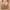 Coffee, variant on Womens Ladies Nursing Bra Wireless Deep V Neck Push up Maternity Nursing Full Coverage Bra Bralette Sleeping Breastfeeding