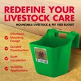 thumbnail image 2 of Little Giant 12 Quart Mountable Livestock Pet Hook Over Feeder, Lime Green, 2 of 7