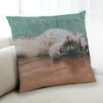 thumbnail image 1 of Ahgly Company Cat Cats Coussin Intérieur, 18 Pouces par 18 Pouces, 1 of 6