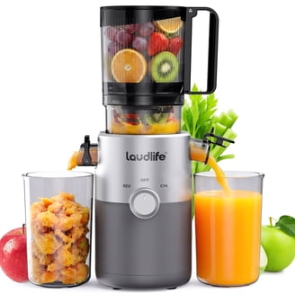 Champion 701842414412 Household 4000 Masticating Juicer - Red