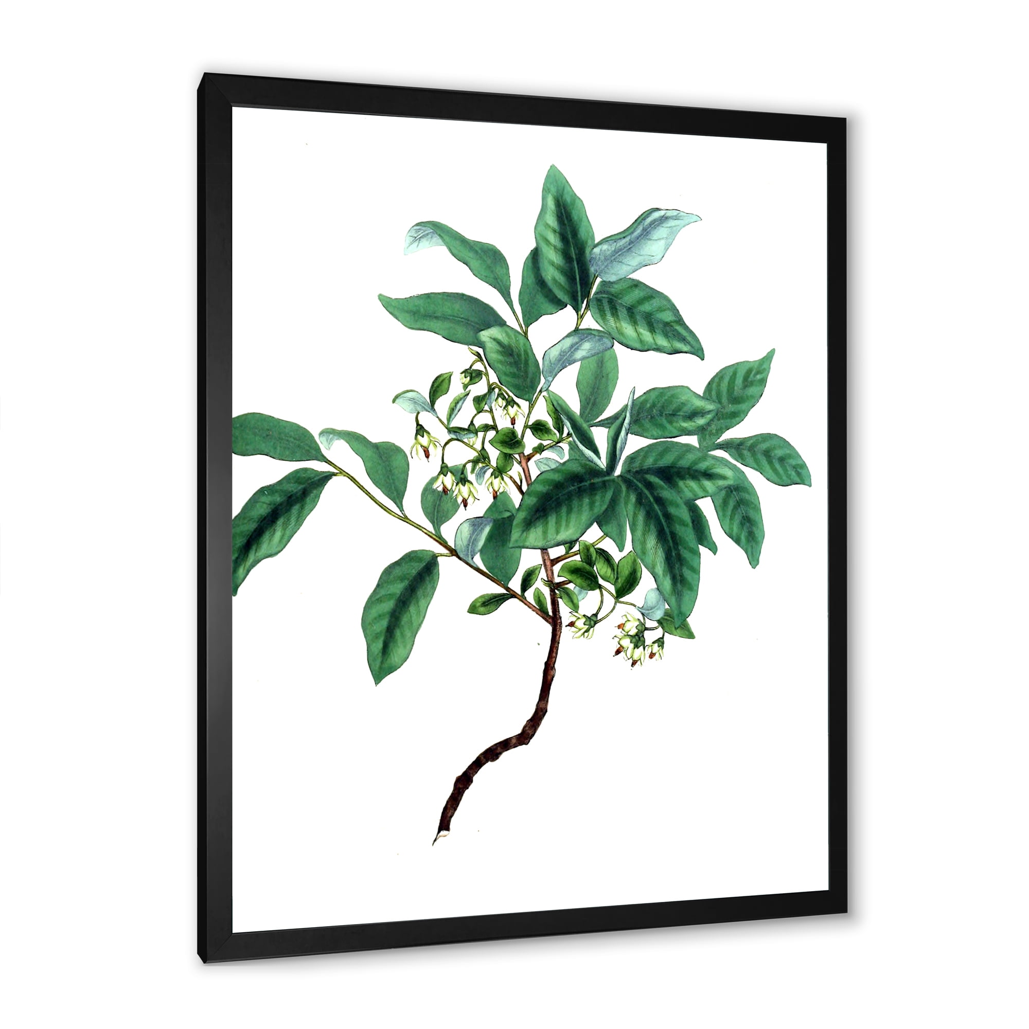Designart 'Ancient Green Leaves Plants IV' Traditional Framed Art Print