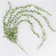 thumbnail image 4 of Toystoory Guirnalda suculenta artificial de la cesta del colgante de la pared de la oficina del hogar de la decoración del verdor de la vid Plantas Artificiales, 4 of 6