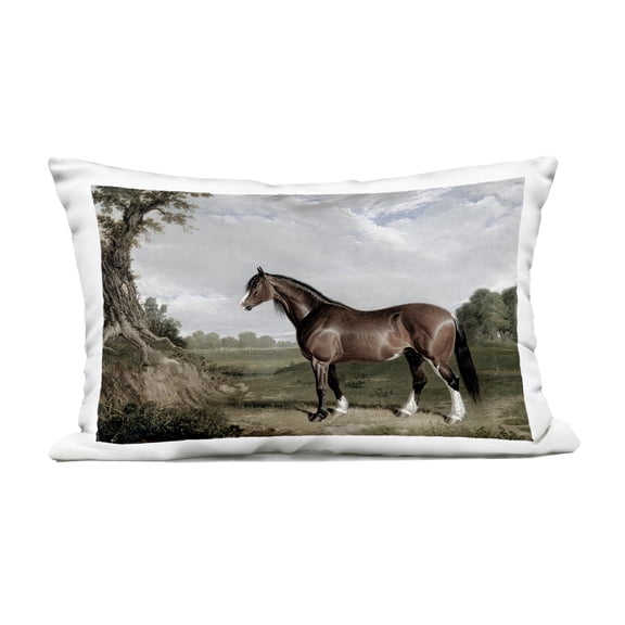 Stupell Industries Majestic Equine Nature Portrait Outdoor Printed Pillow design by Corinne Haig, 14 x 7 x 20