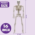 Joyfy 5 Pcs Halloween Skeleton Decorations,16 inch Full Body Poseable ...