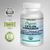 Skinny Bean Organic Ceylon Cinnamon for Weight Loss – Natural Metabolism Booster and Appetite Suppressant – Pure and Potent Supplement for Healthy and Effective Weight Management