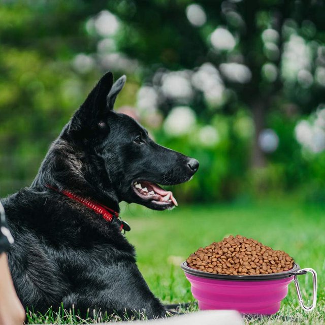 Collapsible Dog Bowl, 2 Pack Collapsible Portable Pet Water Feeding WD.WDQZL Hogar