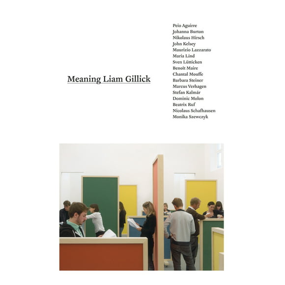 Meaning Liam Gillick (Paperback)