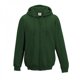 thumbnail image 1 of Awdis - Sudadera lisa con capucha y cremallera completa - Correr/Fitness (Verde oscuro), 1 of 2