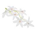 thumbnail image 3 of Uxcell 7" Flores de Orquídea Artificial para Velas Flotantes Simulación Rellenos de Jarrón Blancos 16 Pcs, 3 of 5