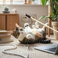 thumbnail image 3 of Cat Teaser Wand Feather Cat Toy Interactive Cat Toy Interactive Cat Toy with Feathers and On Wooden Stick Teaser Wand for Indoor Play Stimulates Natural Instincts, 3 of 3