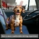 thumbnail image 5 of Cinturón de seguridad para perros dobles Unique Bargains de nylon, restricción de reposacabezas para mascotas en el automóvil, color púrpura, 5 of 6