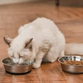 thumbnail image 4 of Stainless Steel Anti-Slip Dog Cat Bowl, 4 of 5