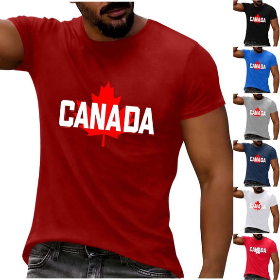 Mens Big & Tall Short Sleeve T-Shirts Graphic Crewneck Casual Printed Tee Summer Beach Hawaiian Vintage Shirts Size M-4XL White