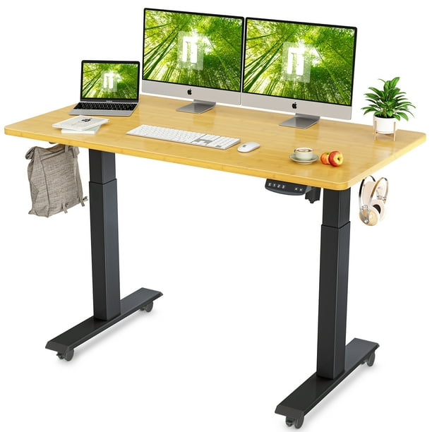 FEZIBO Height Adjustable Electric Standing Desk, Stand Up Desk with
