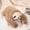 Cute Plushs Toys Under $5 a5, variant on Tusihei Cute Plushs Toys, Weighted Stuffed Animal Toys with Extra-Long Hugging Arms, Soft Huggable Sloth Bear Raccoon Dinosaur Plushie for Bedroom Sofa