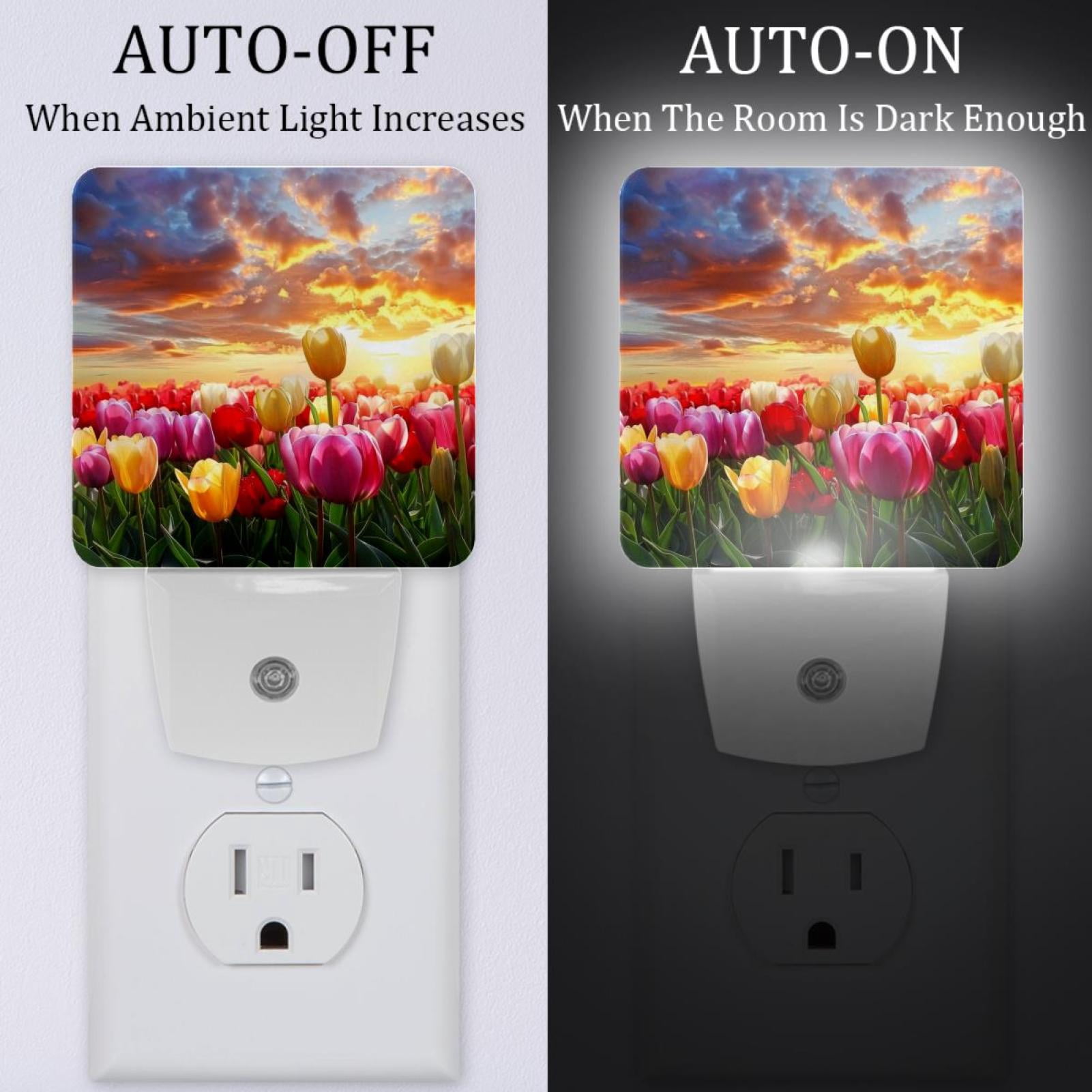 PhooArto Beautiful Tulip Floral Sunset Landscape Plug in LED Night Light Auto Sensor Dusk to Dawn Decorative Night for Bedroom, Bathroom, Kitchen, Hallway, Stairs, Baby's Room, Energy Saving