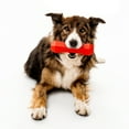 thumbnail image 3 of Playology Dog Toys | Squeaky & Durable Chew Stick, Beef Scented Toy - Jumbo, 3 of 6