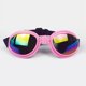 thumbnail image 5 of Stylish & Windproof: Pet Sunglasses to Keep Your Dog Safe in Summer!, 5 of 5