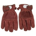 thumbnail image 3 of Gants de Barbecue Résistants à la Chaleur, Protection des Mains, Petit Sac de Cuisson pour Usage Domestique Rouge Vin, 3 of 8