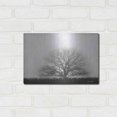thumbnail image 3 of Luxe Metal Art 'Foggy Old Tree' by Lori Deiter, Metal Wall Art, 16"x12", 3 of 9