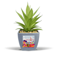 thumbnail image 1 of Local Japanese Famous Sightseeing Fake Pineapple Flower Pot Vase Mini Decor, 1 of 3
