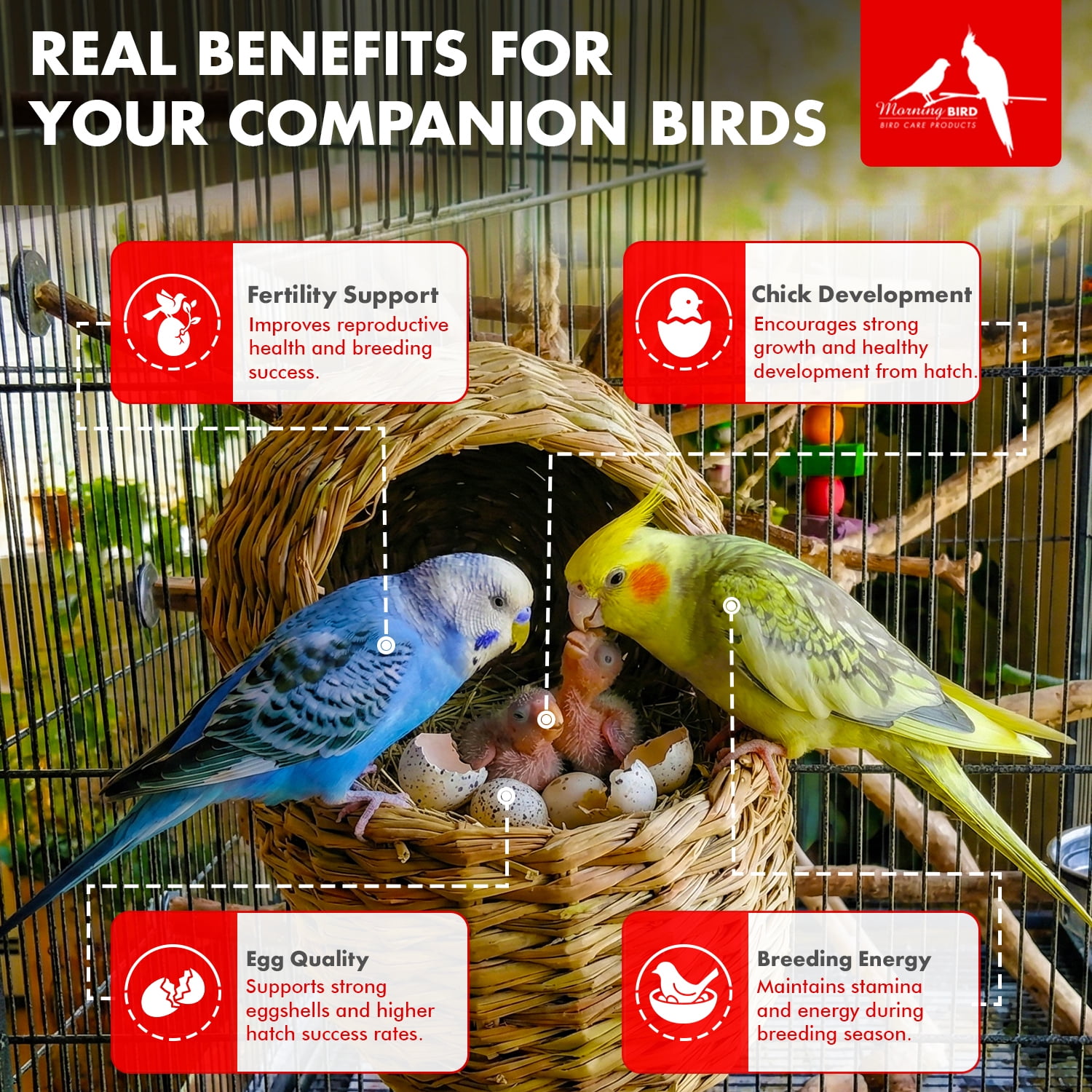 Morning Bird Breeders Blend 3 oz – Protein Supplement for Birds – Supports Breeding, Chick Growth, Muscle Development & Immune Support – Daily Vitamin Blend for Strong Bones & Overall Health