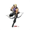 60 x 45 in. Hawkeye - Avengers Animated Cardboard Standup