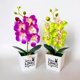 thumbnail image 2 of Bonsái de orquídea mariposa artificial con flores falsas y maceta para decoración de muebles del hogar, 2 of 5