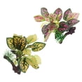 thumbnail image 1 of OULII Plastic Aquarium Greenery Fake Aquarium Plants Aquatic Greenery Terrarium Landscape 2pcs, 1 of 6