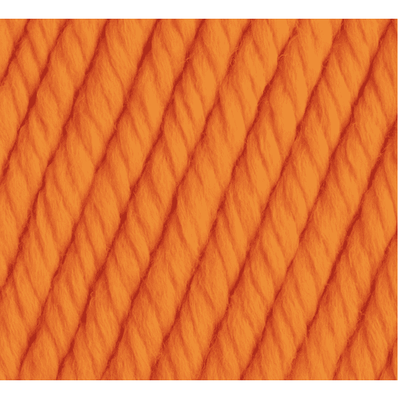 Big Twist Value Acrylic Yarn