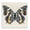 Speckled Butterfly Sketch, variant on Stupell Industries Eclectic Vintage Butterfly Specimen Black Floating Frame Canvas Art, 18 x 18, by Susan Arnot