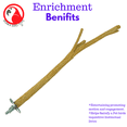 thumbnail image 2 of Bottlebrush Bird Perch Size: 3901 Small Bottlebrush Perch, 2 of 6