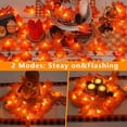thumbnail image 4 of Guirnalda otoñal YEGUO para decoración de otoño, 6 unidades, 60 pies y 120 pulgadas, iluminada por LED, 4 of 8