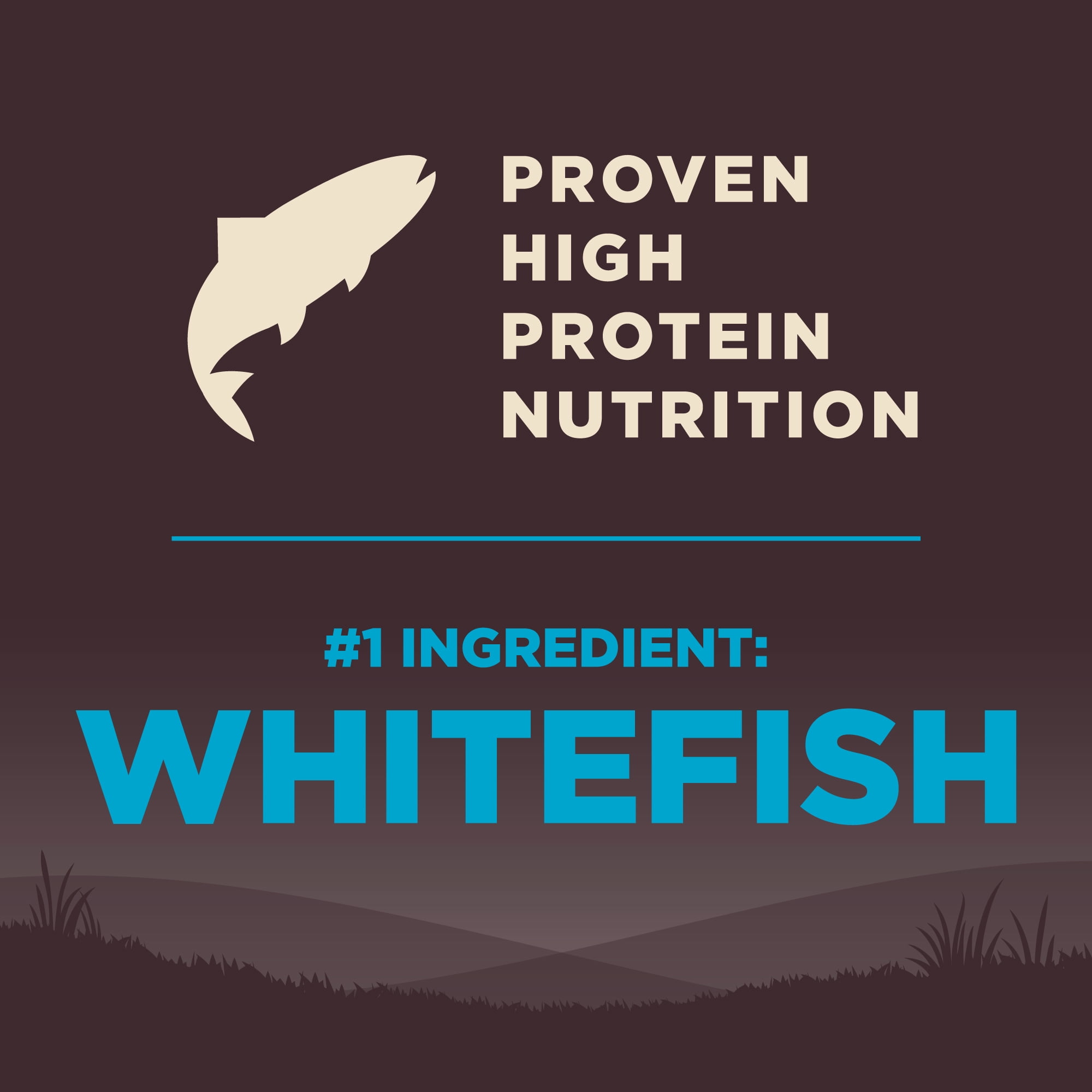 Wellness CORE Dry Dog Food, Grain Free, High Protein, Natural, Ocean Whitefish, Herring, & Salmon Recipe, (26-Pound Bag)