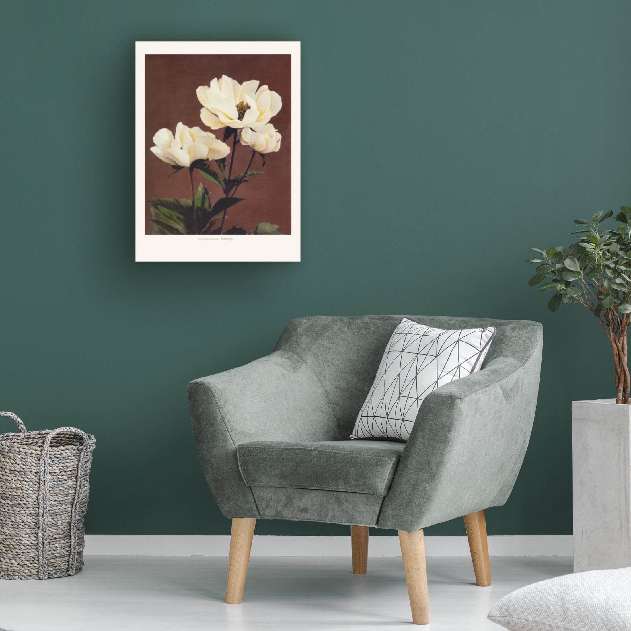 Trademark Fine Art Pictufy HAbrdaceous Peony Canvas Wall Art