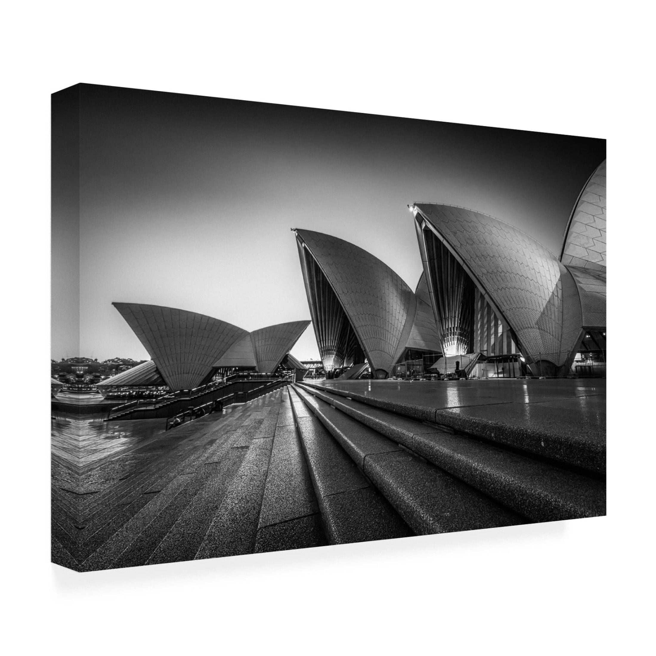 Canvas Wall Art - Tim Fan 'In Silhouette' Wall Art for Living Room, Bedroom, or Office Décor by Trademark Fine Art - 24 x 16 Inches