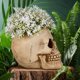 thumbnail image 3 of Skull Planter Skull Shape Planter Flower Arrangement Pot Small Flower Pot Plant Container, 3 of 3