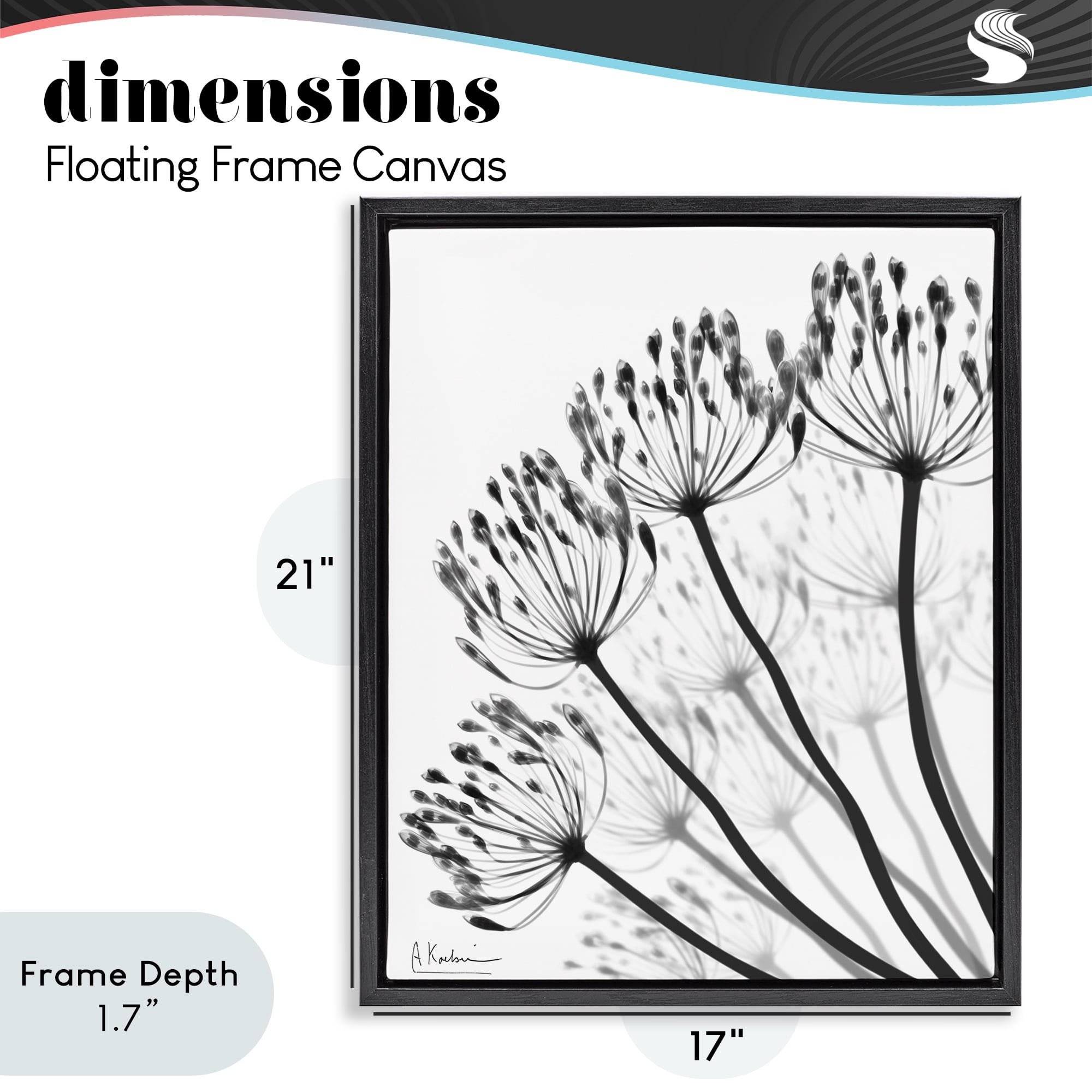 Stupell Industries Floral Fan Dandelions Black Framed Floater Canvas Wall Art, design by Albert Koetsier