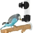 thumbnail image 5 of Duslogis Bird Water Dispenser Parrot Waterer Automatic Bird Water Feeder for Parakeets Cockatiels Budgies Finch Lovebirds & Canary (9.4oz/220ml, Black), 5 of 7