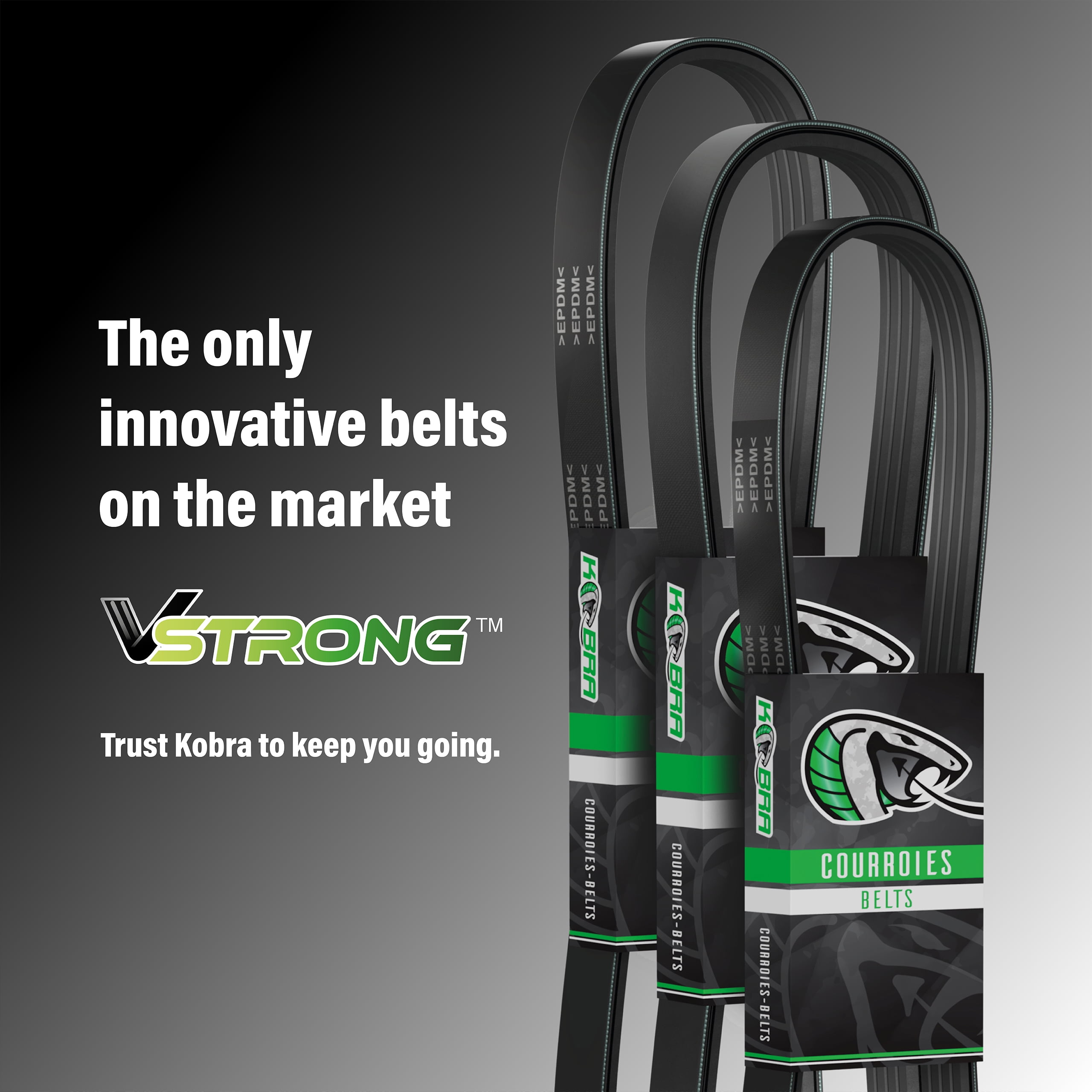 COBRA - たけ Kobra Main Drive Serpentine Belt KBR-6PK1022EE for Car 2011