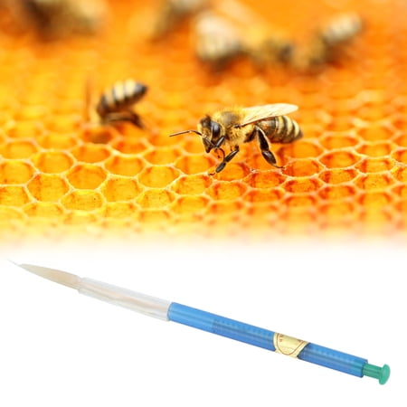 Queen Rearing Tool, Bee Grafting Tool, Beekeeping Honey Bee Larvae ...