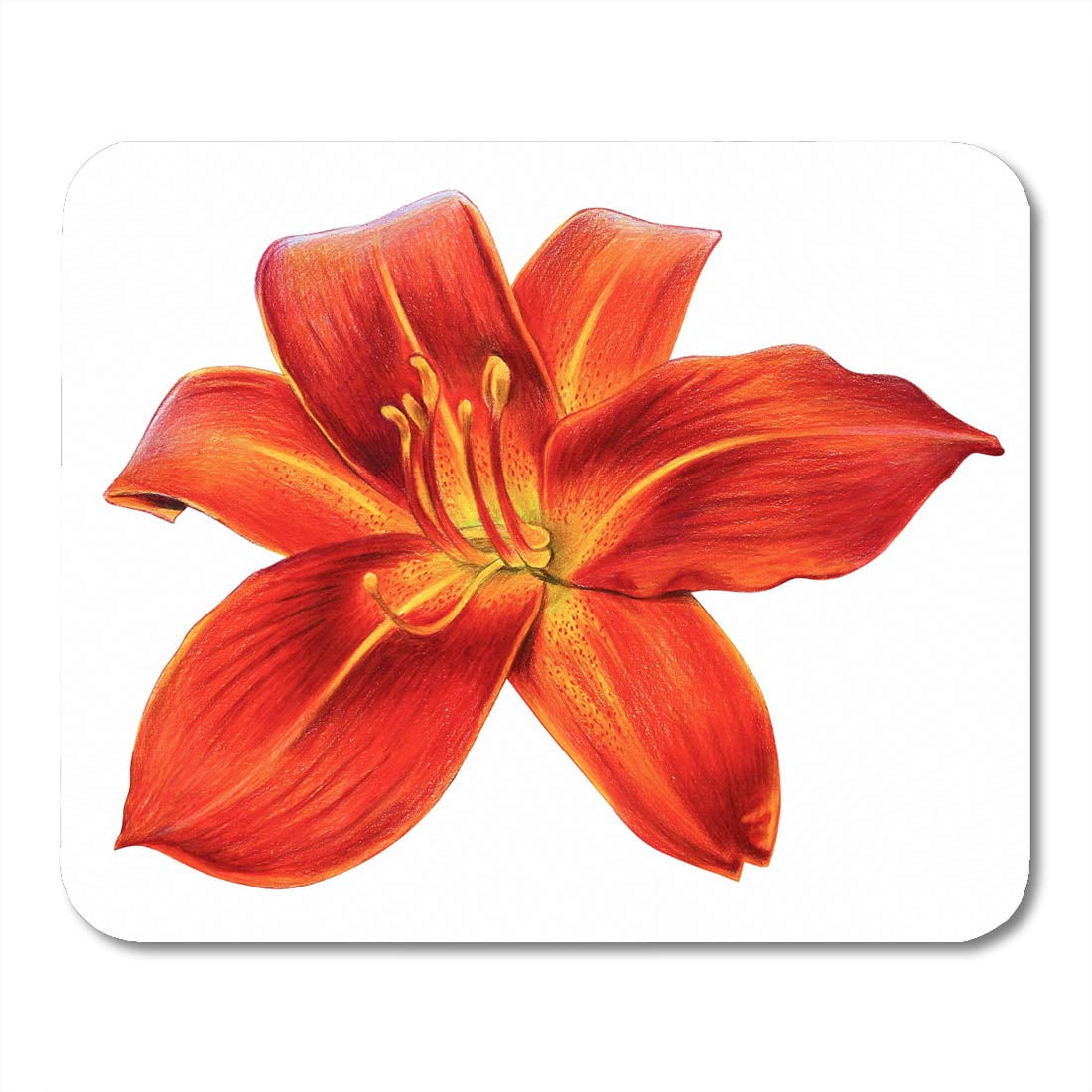 Tappetino Per Mouse E Sottopentola Con Rana 'Chilaxin On The Lilly Pad' – Multicolore, Caroline Treasures (APH0521MP) - 3