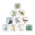 thumbnail image 1 of IBA Indianbeautifulart Multicolor Mix Bird Door Knobs Square Cabinet Drawer Pulls For Dresser Ceramic Knobs, 1 of 1